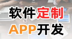软件公司 游戏app开发 H5商城小程序开发